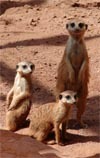 Th&uuml;ringer Zoopark Erfurt