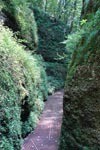 Eisenach - Die Drachenschlucht