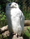 Suhl - Tierpark