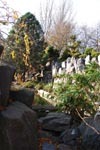 Erfurt - Der Japanischer Fels- und Wassergarten im egapark