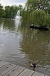 Carolasee, See mitten in der Stadt