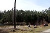 Dresdner Heide