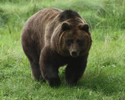 Der Tierpark in Hirschfeld