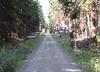 Der Werdauer Wald