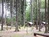 Der Waldsportplatz Hasenheide