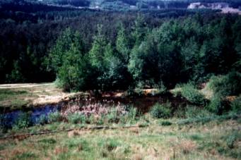 Nature Trail Neukirch