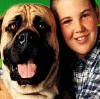 Tierheim Hoyerswerda