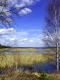 Oberlausitzer Heide- und Teichlandschaft
