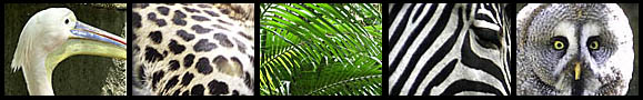 Zoo Hoyerswerda