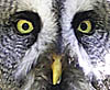Zoo Hoyerswerda