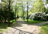 Rhododendron- und Azaleenpark Hutberg