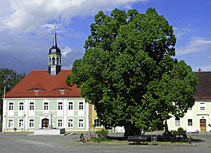 Elstra