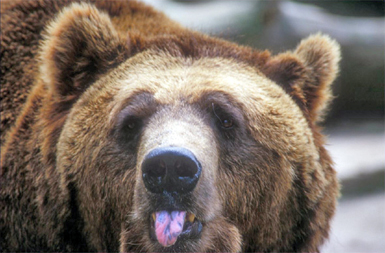 Tierpark Bischofswerda