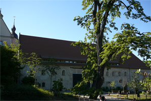 Kloster und Tierpark Riesa