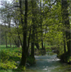Mühlenromantik im Tal der Großen und Kleinen Triebisch