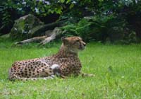 Zoo Liberec