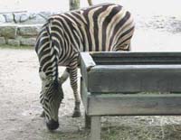 Zoo Liberec