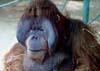 Zoo Liberec