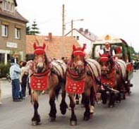 Eibauer Bierzug