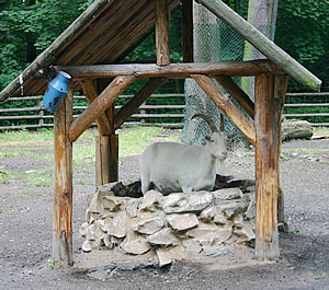 Tierpark Zittau
