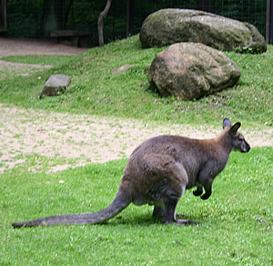 Tierpark Zittau