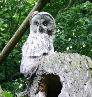 Tierpark Zittau