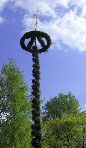 Maibaumaufstellen