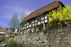 Hirschfelde
