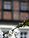 Faktorenhof Eibau