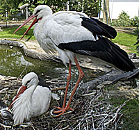 Vogelpark Deschka