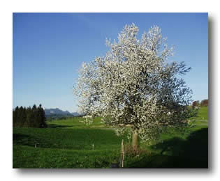 Samerberger Landschaft
