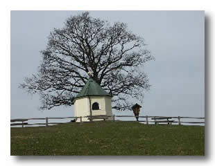 Samerberger Landschaft