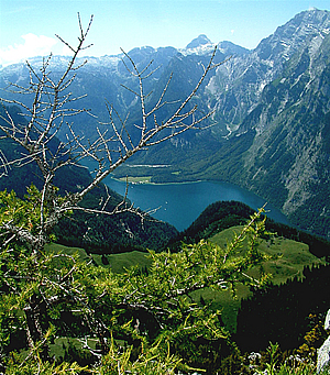 Der K�nigssee im Berchtesgadener Land