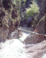 Almbachklamm und Kugelm�hle