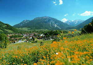 Natur- und Landschaftsführungen