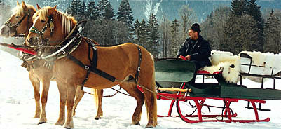 Pferdeschlittenfahrt in Sch�nau am K�nigssee