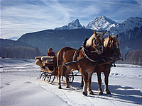 Pferdeschlittenfahrt in Sch�nau am K�nigssee