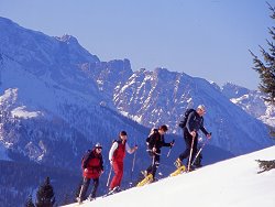 Schneeschuhwandern - ein Naturerlebnis in seiner reinsten Form