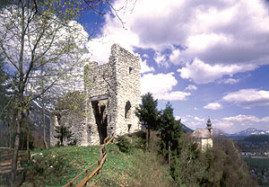 Burgen und Schl�sser in und um Bad Reichenhall