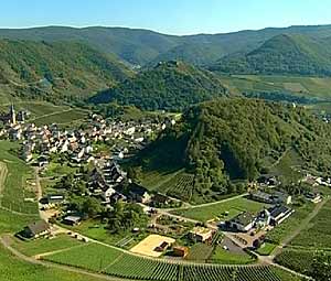 Mayscho�