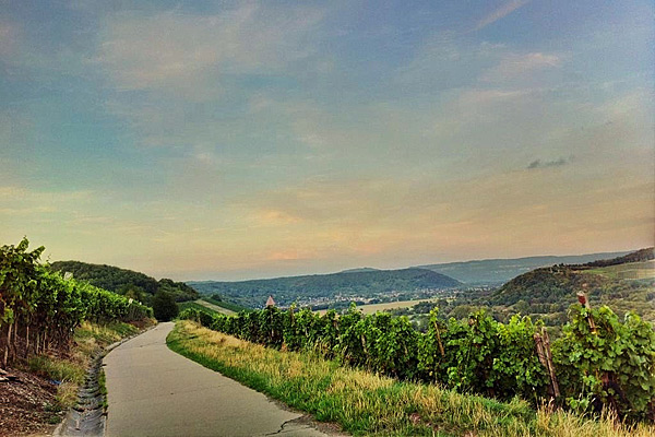 Rotweinwanderweg