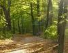 Wald und Vogellehrpfad