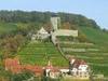 Beilsteins Weinlehrpfad