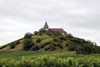 Natur - Wein - Kultur 