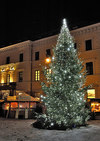 Weihnachts- und Adventsmärkte, nicht nur in der Region