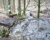 Remsursprung