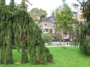 Botanischer Garten Karlsruhe