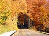 Herbstzauber