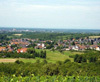Appenweier - Ortsteil Nesselried