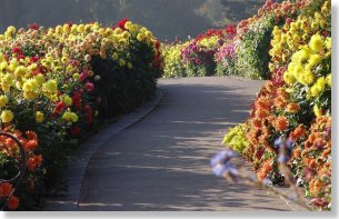 Insel Mainau